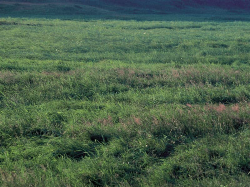 Screenshot de Real Sound: Kaze no Regret