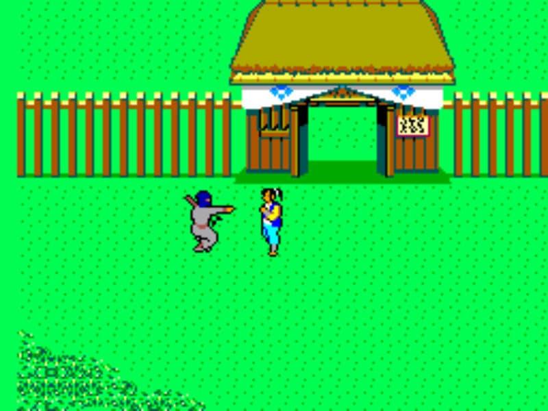 Screenshot de The Ninja