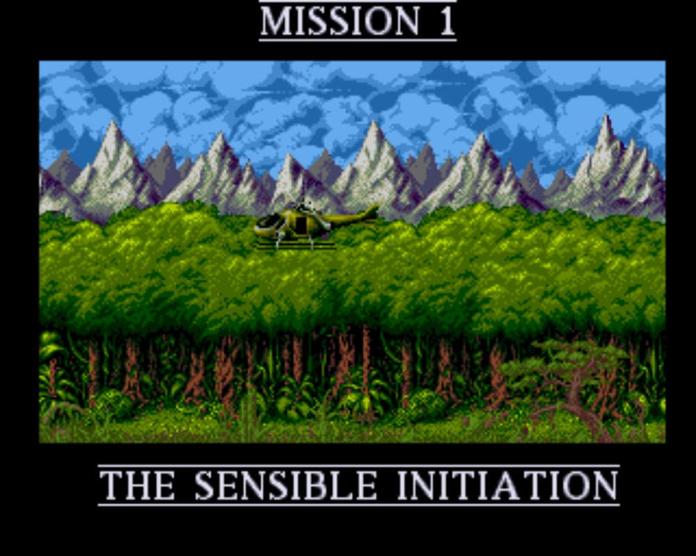 Screenshot de Cannon Fodder