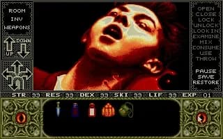 Screenshot de Elvira - Mistress of the Dark