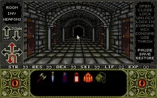 Screenshot de Elvira - Mistress of the Dark