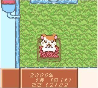 Screenshot de Tottoko Hamtaro