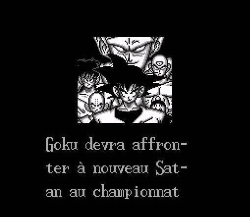 Screenshot de Dragon Ball Z: Super Butouden