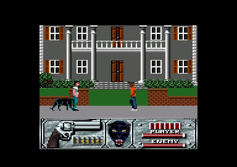 Screenshot de Wild Streets