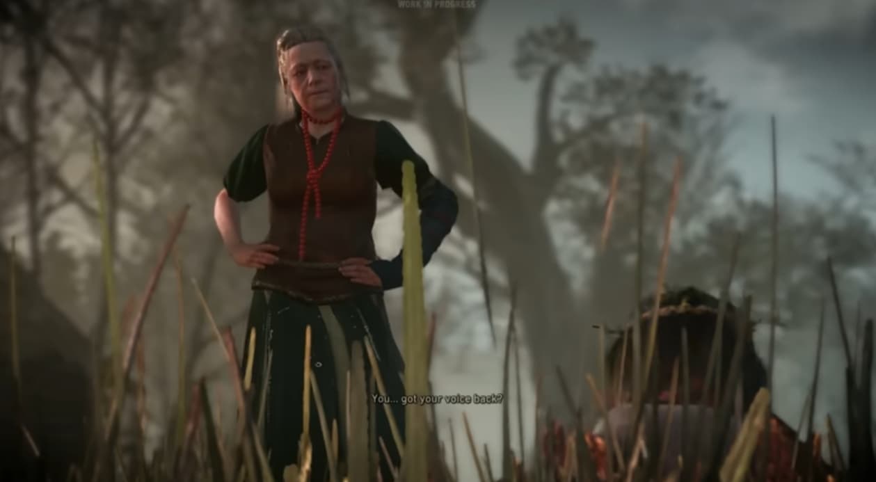 Screenshot de The Witcher 3: Wild Hunt