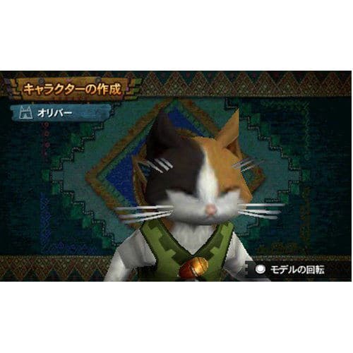 Screenshot de Monster Hunter 4