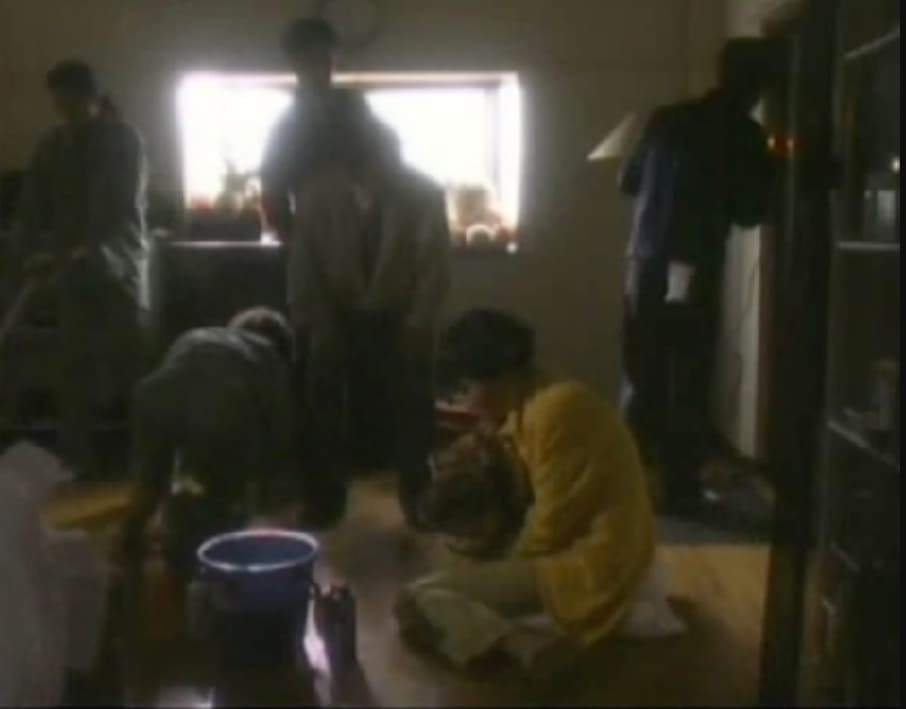 Screenshot de Grauen no Torikago Kapitel 4: Kaikou