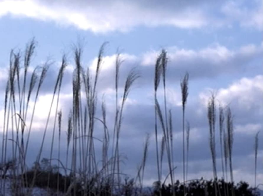 Screenshot de Real Sound: Kaze no Regret