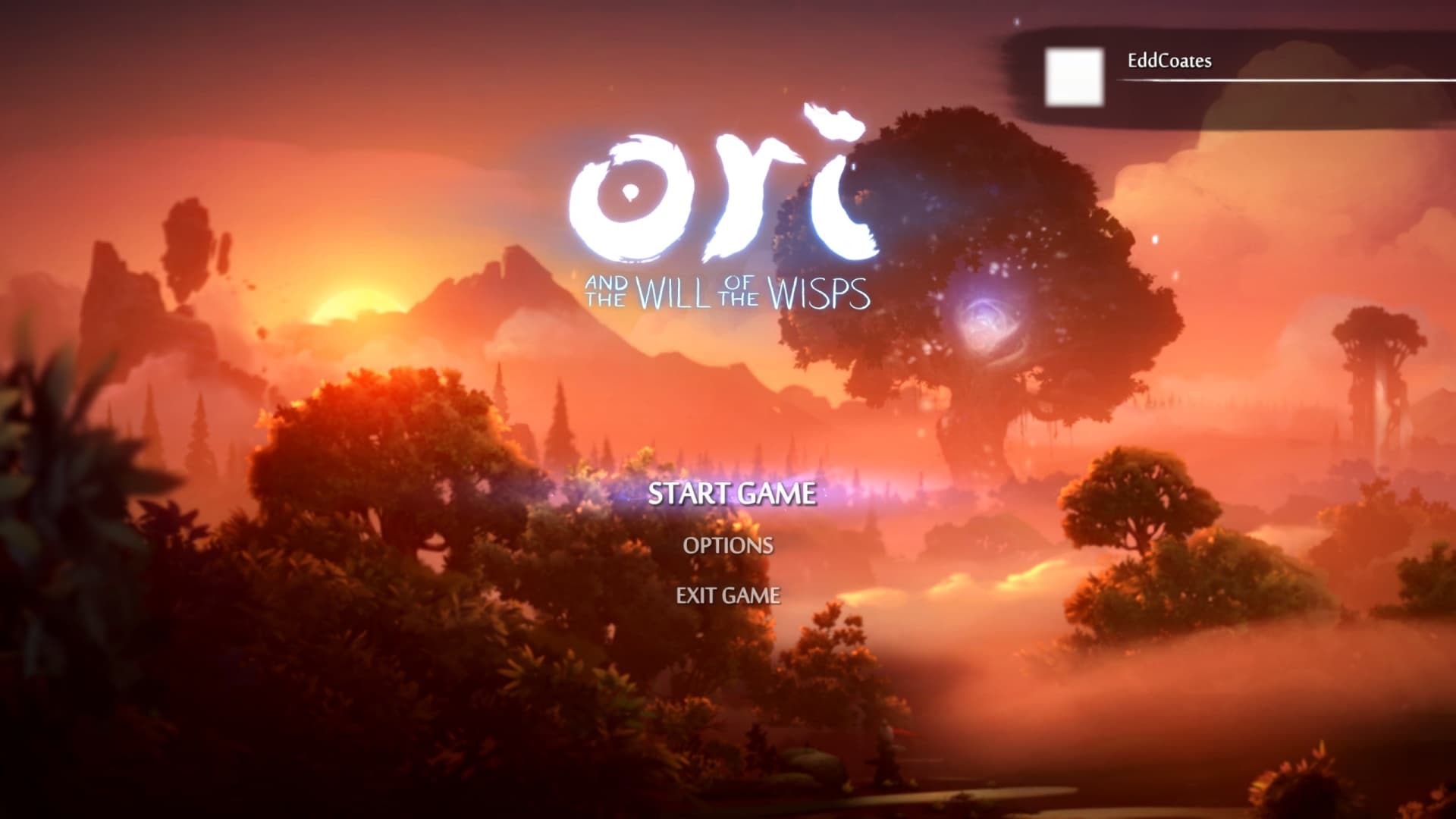 Screenshot de Ori and the Will of the Wisps