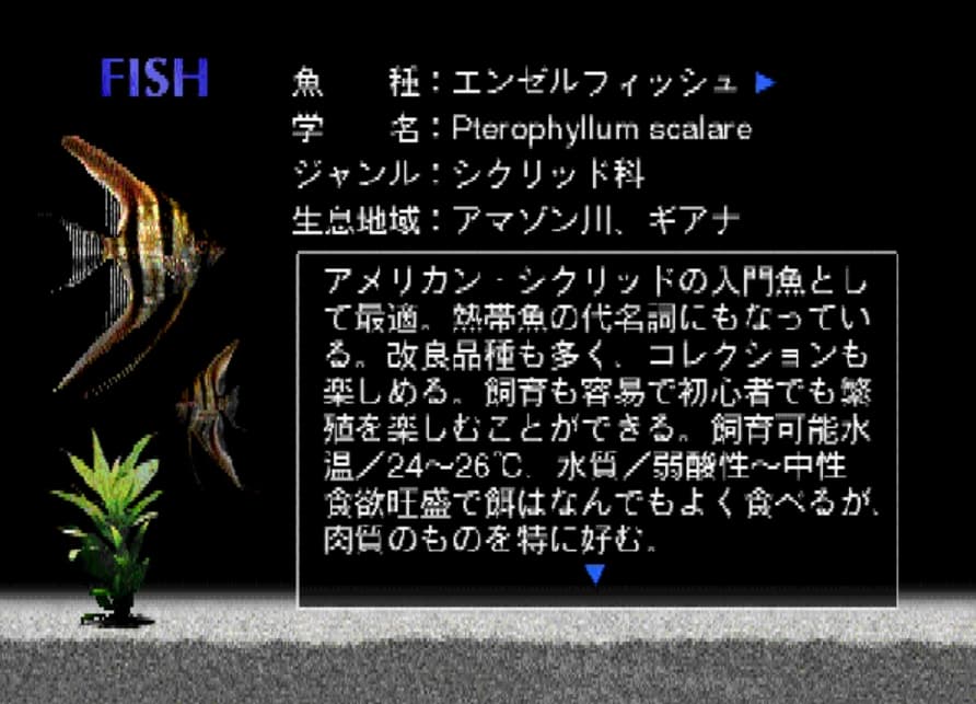 Screenshot de Aquazone Option Disc Series 1 Angel Fish