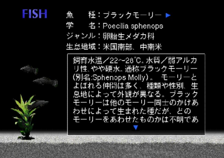 Screenshot de Aquazone Option Disc Series 2 Black Molly