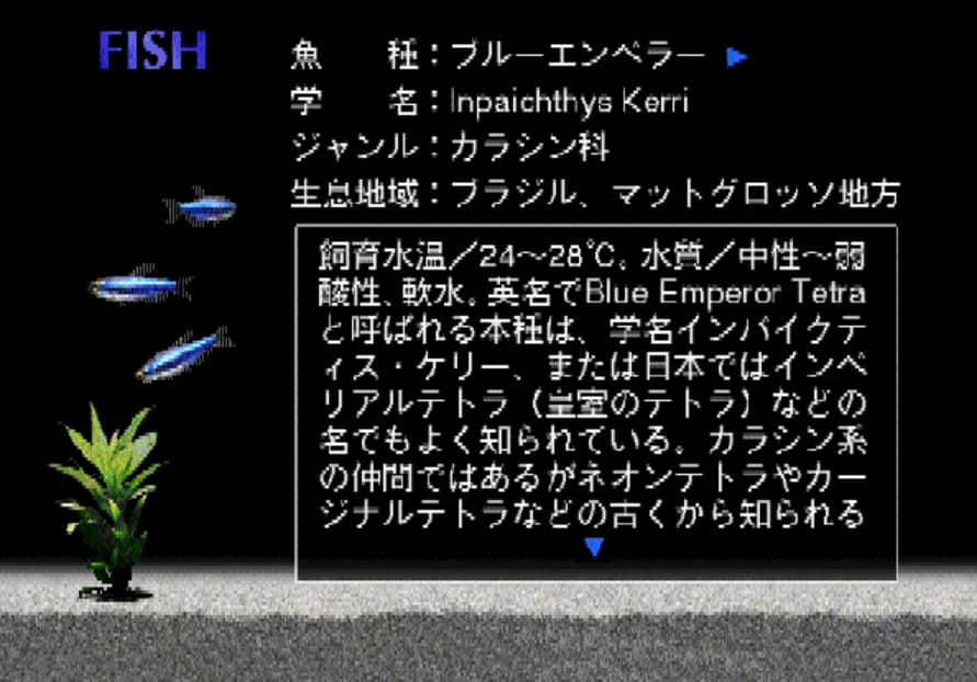 Screenshot de Aquazone Option Disc Series 3 Blue Emperor
