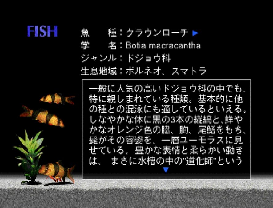 Screenshot de Aquazone Option Disc Series 4 Clown Loach