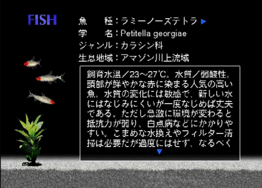 Screenshot de Aquazone Option Disc Series 5 False Rummy-Nose