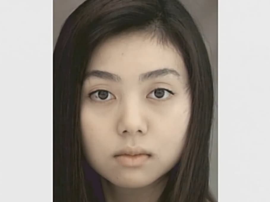 Screenshot de Yellows 2.0: Tokyo 1993 Akira Gomi Photographs