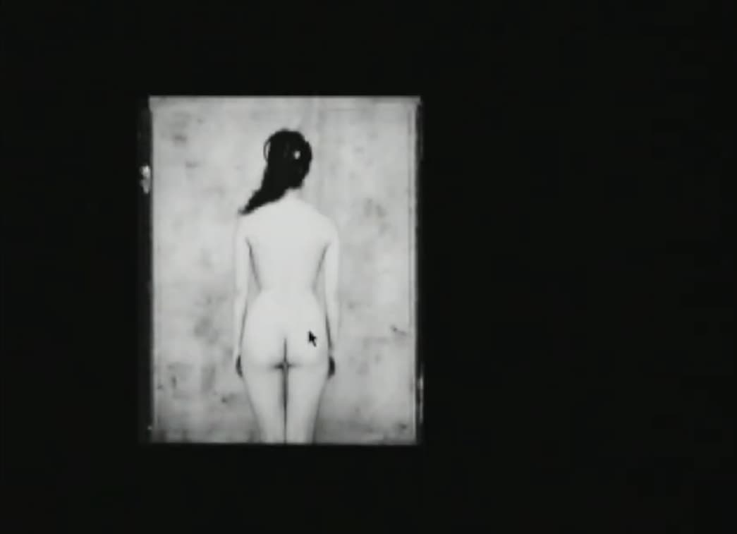 Screenshot de Yellows: Akira Gomi Photographs